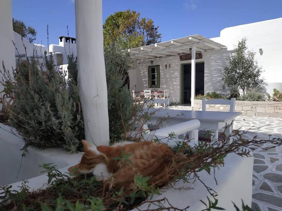 אדאמאס Thalassitra Private Pool Suites מראה חיצוני תמונה